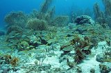Curacao 04-12 583